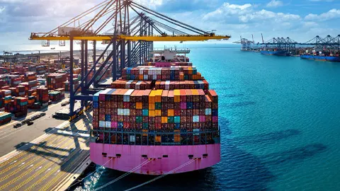 FCL & LCL Consignment Services